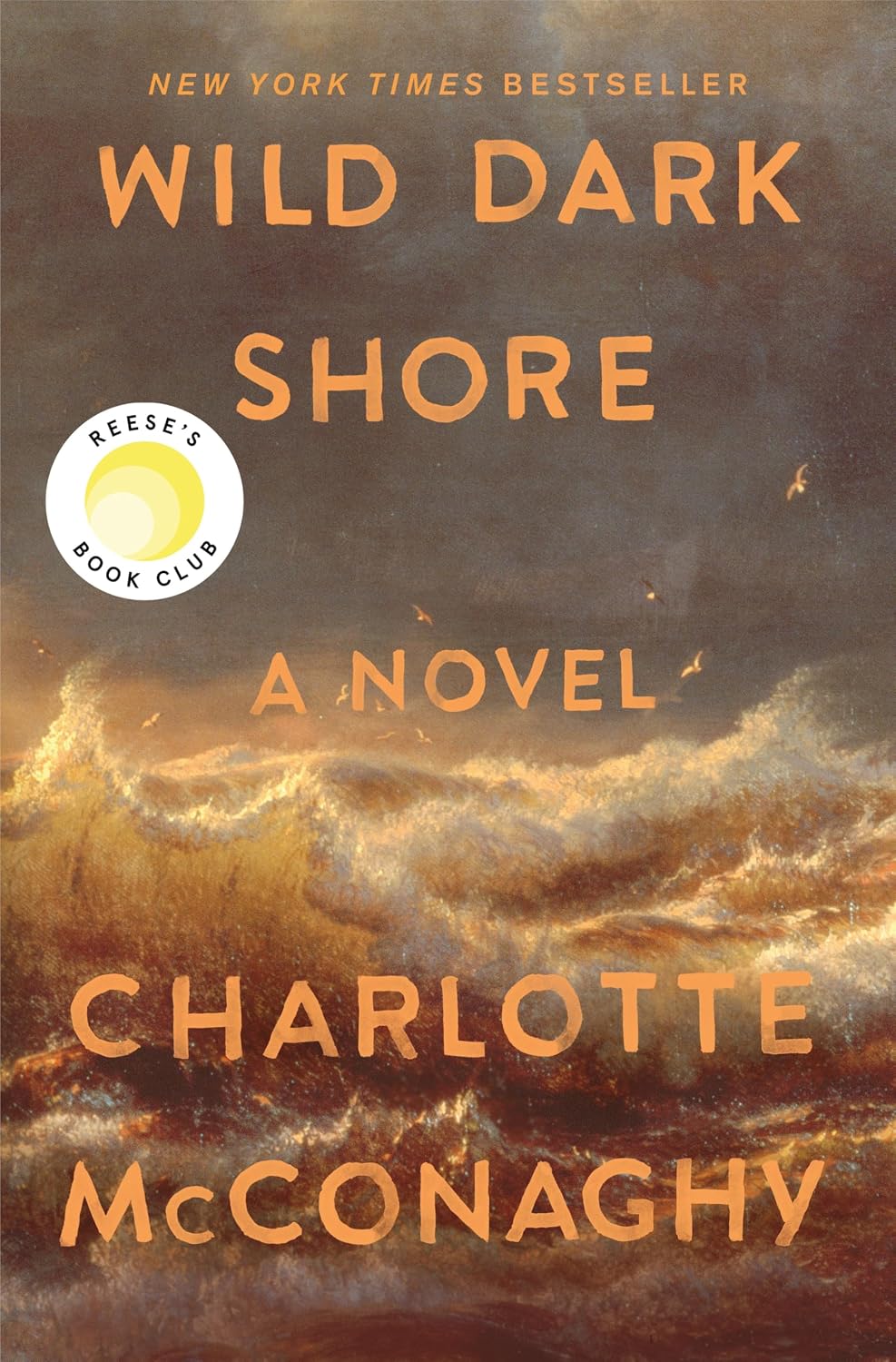 Wild Dark Shore: Reese's Book Club Pick (A Novel)